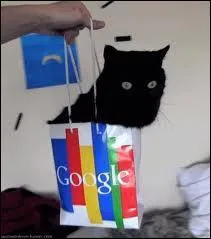 Le chat de Norman s'appelle ...