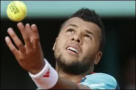 Jo-Wilfried Tsonga est âgé de 29 ans (2014) et mesure 1, 88 m. Quel est son sport ?