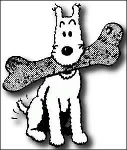 Voici un fox-terrier à poil dur, accompagnant Tintin dans toutes ses enquêtes. Qui est-il ?