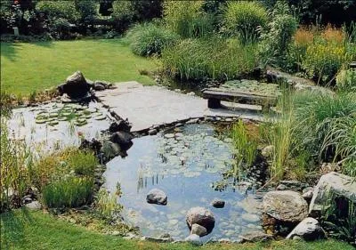 Le mot commence par Col ...