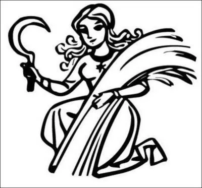 A quelle toupie appartient ce signe astrologique ?