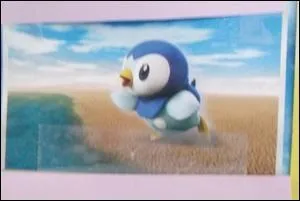 Quel est ce Pokémon ?