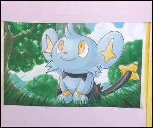 Quel est ce Pokémon ?