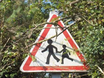 Qu'indique un triangle rouge ?