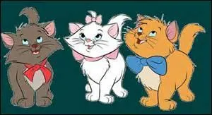 Ce chaton adore peindre avec ses pattes, qui est-il ?