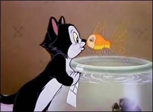 Voici le premier chat Disney ! Il apparaît dans "Pinocchio". Noir et blanc, c'est le chat de Gepetto, forcé de cohabiter avec un poisson du nom de Cléo. Qui est-ce ?