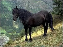 Le merens, est qualifié comme ...