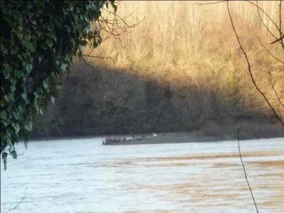 La volupté serait-elle le corollaire de la délectation ?