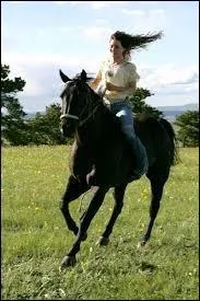 De quelle race Flicka est-il ?