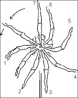 Quelle est cette figure effectue sur la barre ?