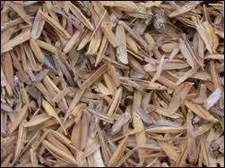 On s'y couche quand on va  St-Brieuc.