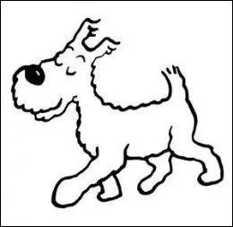 C'est son chien et ils sont inséparables.