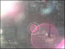 Pour une photographie prise à contre-jour, où la source de lumière se trouvait-elle ?