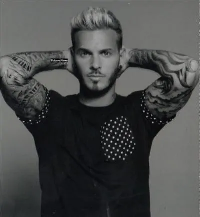 Que signifie ' Pokora ' en polonais ?