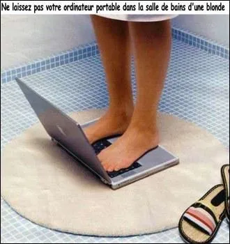 C'est déconseillé ! "Phénix" était le nom de départ d'un célèbre navigateur internet :