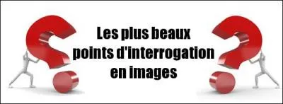 Roh, vous n'auriez pas pu trouver plus original que des points d'interrogation ? Le phoenix est aussi une espèce de :