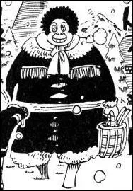 Pour l'anniversaire de son fils aîné, quel gâteau a réalisé cette femme que Luffy a confondu avec un ours randonneur sur l'île de Drum ?