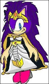 Le nom de la mère de Sonic est... (french please)