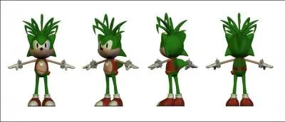 Le nom du frère de Sonic est...