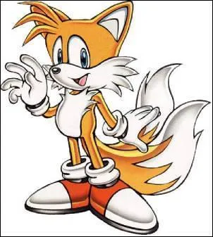 Quel genre d'animal est Tails ? (son meilleur ami)