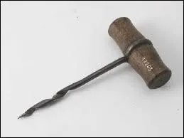 Comme un sarment, métallique et pointu.