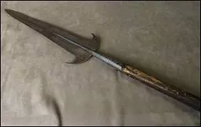 Il s'agit d'une arme, longue, avec un fer triangulaire : la pertuisane. Bon, jusque-là tout va bien, et de toute façon vous le saviez. 
Quel mot en est à l'origine ?