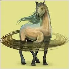 Comment s'appelle ce cheval nomade ?