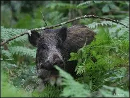 Comment appelle-t-on mon bébé ?