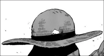 Combien de Cartes Vitales (Vivre Card) possédait l'ensemble des membres de l'équipage de Luffy après la guerre de Marineford (et avant l'arrivée sur l'île des Hommes-Poissons) ? Attention, pièges !