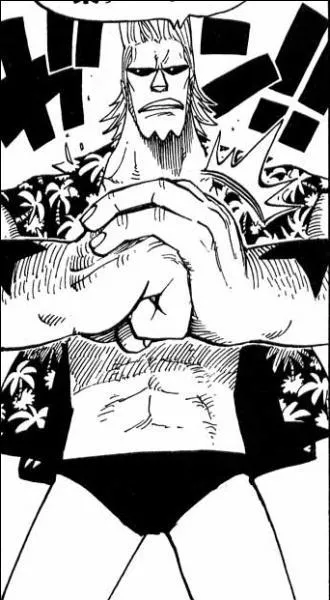 Qui Franky, le cyborg, a-t-il affronté sur Enies Lobby ?