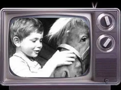 Quel est le nom de cette série des années 70 ?