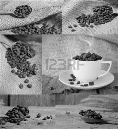 Qui chantait " Y a pas de café, pas d'coton, pas d'essence en France, mais des idées, ça on en a " dans sa chanson "Le temps des colonies" ?