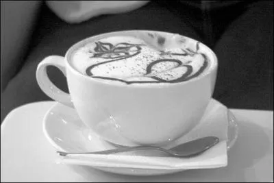 Qu'aimait Gainsbourg quand il s'adressait au café ?