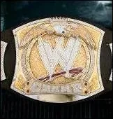 Qui n'a jamais eu cette ceinture ?