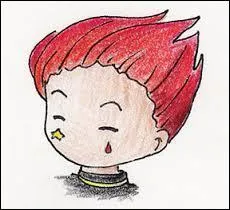 Hisoka fait partie :