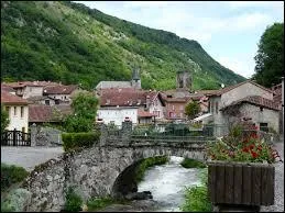 Nous sommes à Mauléon-Barousse, village Haut-Pyrénéen situé en région ...