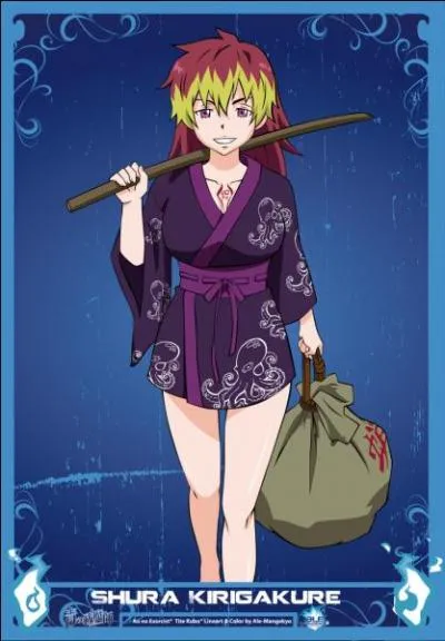 Je suis Saint Paladin ! Vrai ou Faux ?