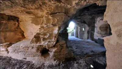 Dans quel département, pourrez-vous admirer l'abbaye troglodytique de Saint-Roman près de Beaucaire ?