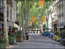 Nous reprenons la route et nous partons à Céret. Cette ville Catalane se situe en région ...