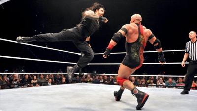 Comment se nomme cette prise ?