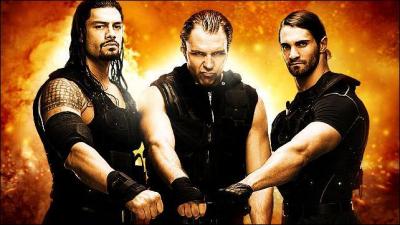 Il ne rentre pas seul à la WWE mais avec deux autres catcheurs pour former ''The Shield'', qui sont-ils ?
