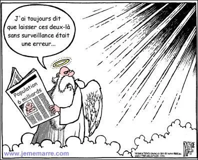 L'image n'est là que pour le fun, qu'est-ce qu'un saint-pierre, lorsque ce n'est pas le saint ?