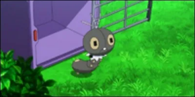 Quel est ce Pokémon ?