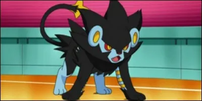 Quel est ce Pokémon ?