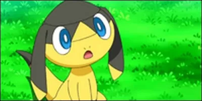 Quel est ce Pokémon ?