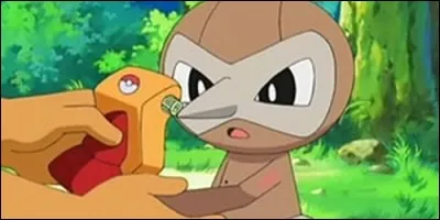 Quel est ce Pokémon ?