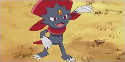 Quel est ce Pokémon ?