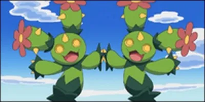 Quel est ce Pokémon ?