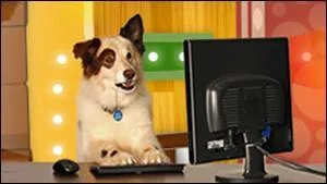 Quel est le vrai nom de Stan ?