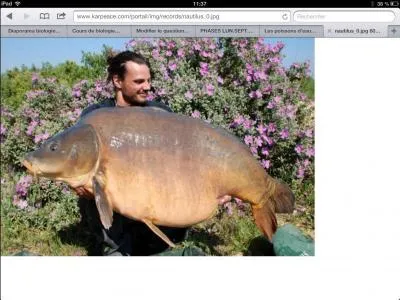 Quel est ce poisson ?  